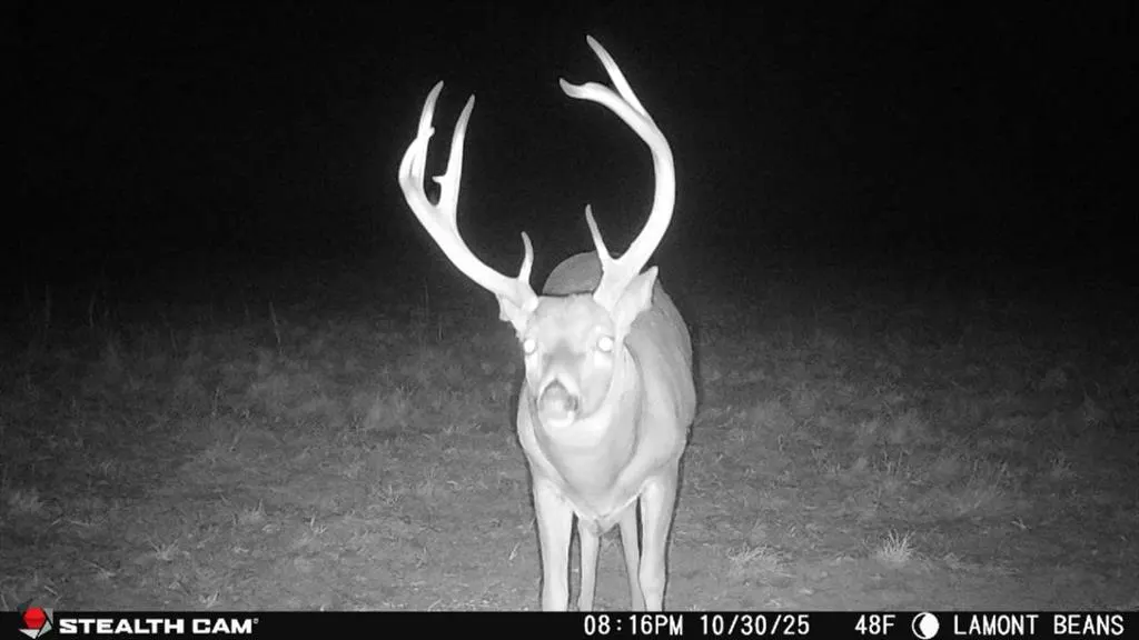 Photo 45 — 1 N 3100 Road, Lamont, OK 74643