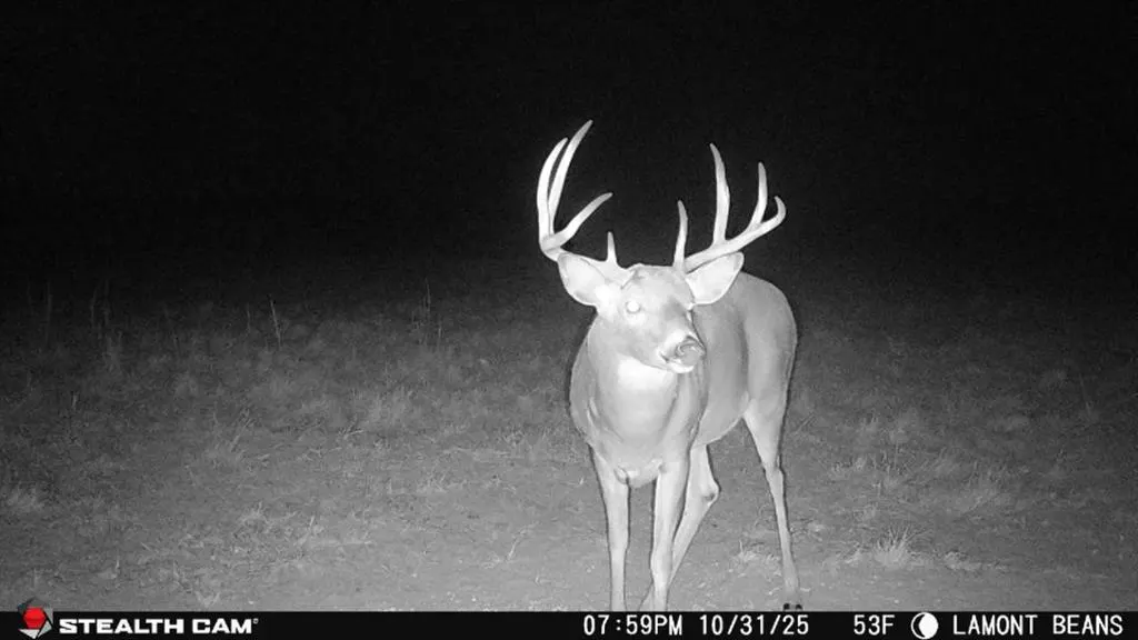 Photo 46 — 1 N 3100 Road, Lamont, OK 74643