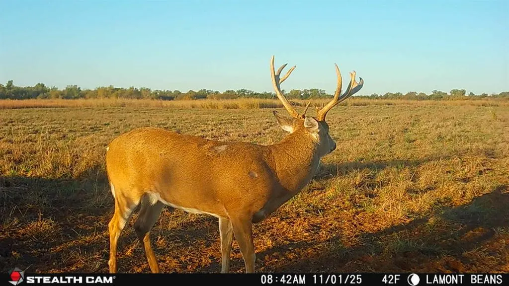 Photo 47 — 1 N 3100 Road, Lamont, OK 74643