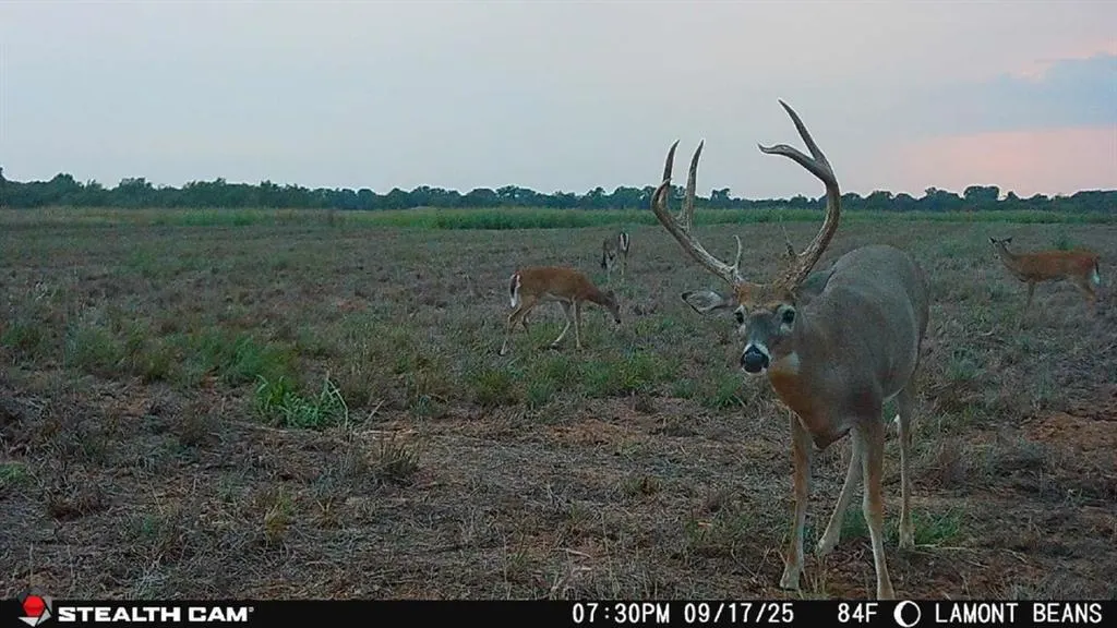 Photo 48 — 1 N 3100 Road, Lamont, OK 74643