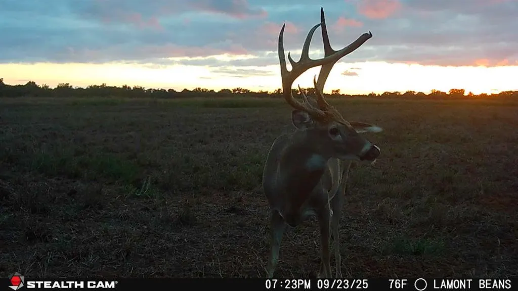 Photo 49 — 1 N 3100 Road, Lamont, OK 74643