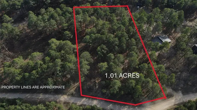 Photo 2 — 430 Bass Cat Trail, Broken Bow, OK 74728