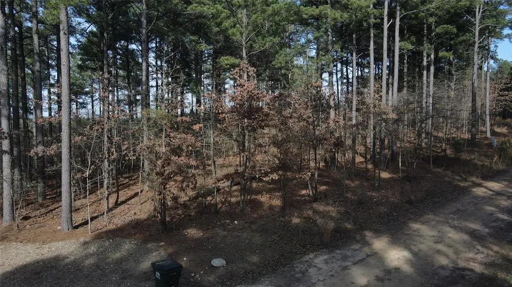 Photo 3 — 430 Bass Cat Trail, Broken Bow, OK 74728