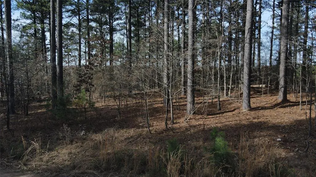 Photo 5 — 430 Bass Cat Trail, Broken Bow, OK 74728