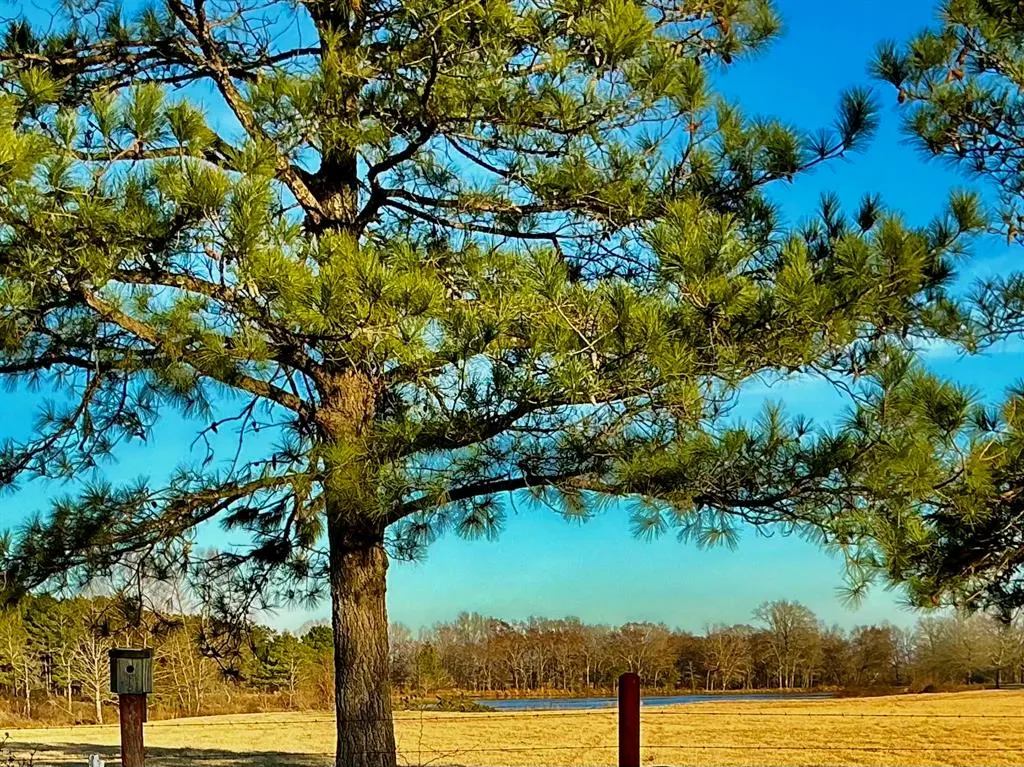 Photo 38 — 868 N Living Land Road, Idabel, OK 74745