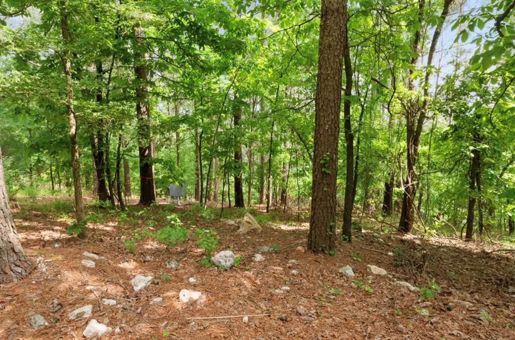 Photo 49 — 224 PINE FOREST Trail, Broken Bow, OK 74728