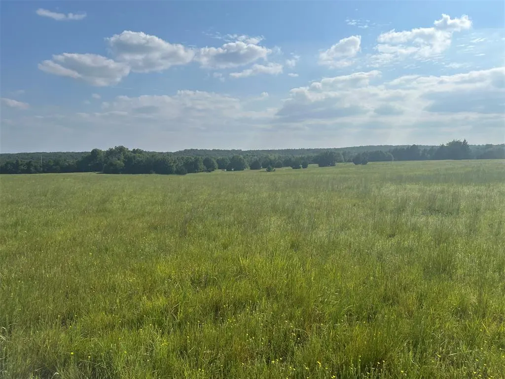 Photo 4 — E Forrest Hills & S Indian Meridian Road, Meridian, OK 73058