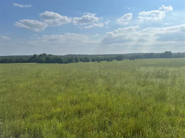 Photo 4 — E Forrest Hills & S Indian Meridian Road, Meridian, OK 73058