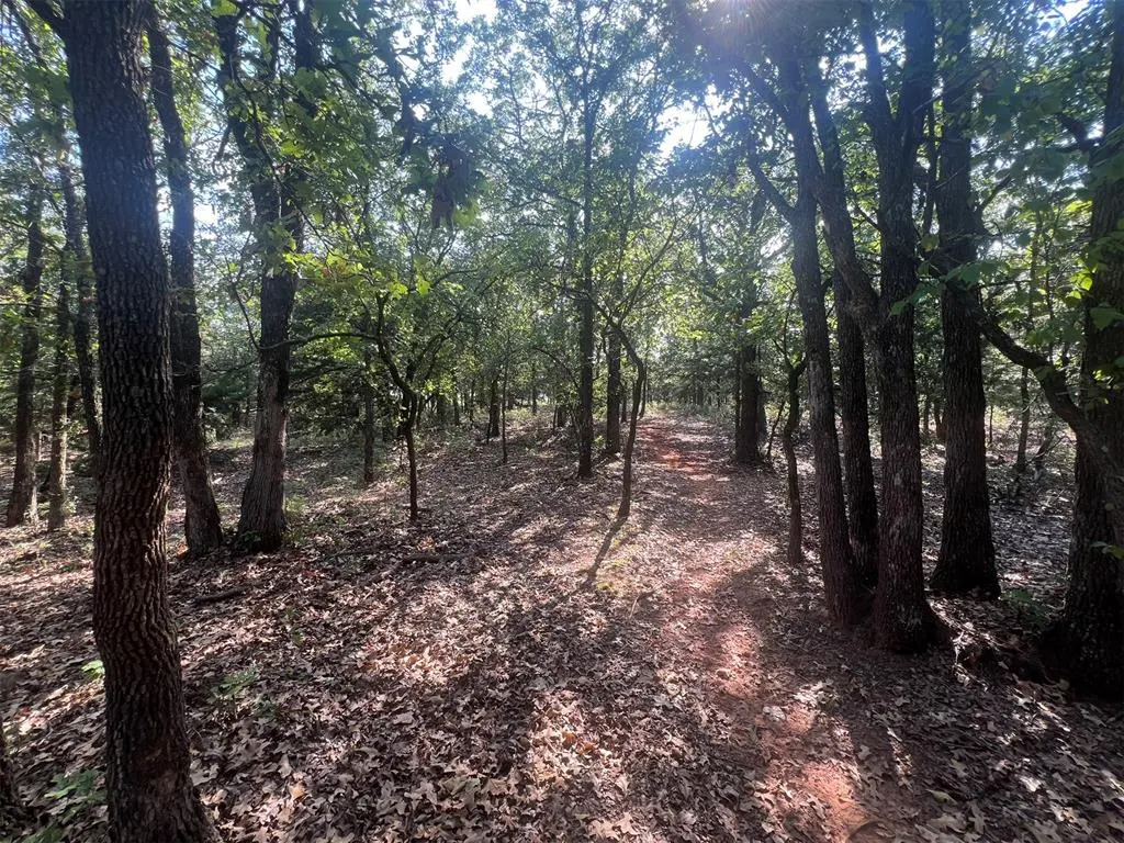 Photo 18 — E Forrest Hills & S Indian Meridian Road, Meridian, OK 73058