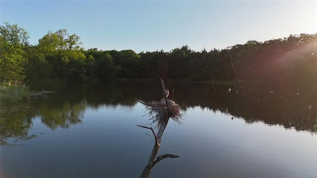 Photo 32 — 32 Casey Road, Carney, OK 74832