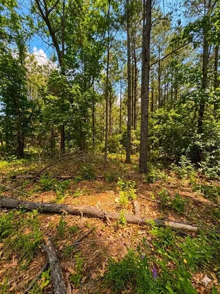 Sold home at 86 Southern Locust Trail