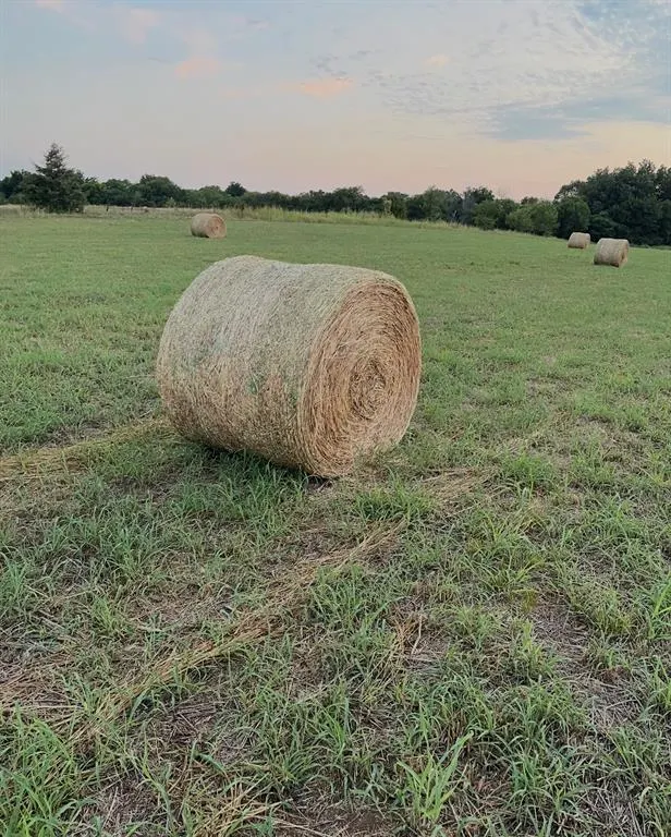 Photo 5 — 29594 S 160th Street, Wayne, OK 73095