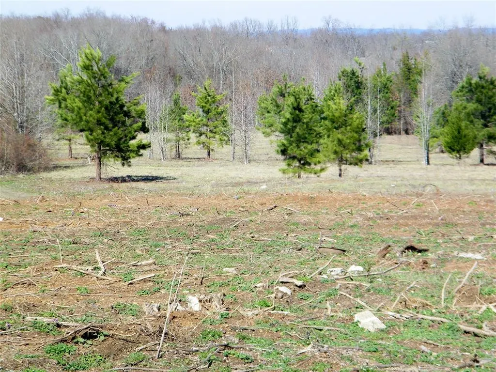 Photo 18 — E Washington Street Lot A, Idabel, OK 74745