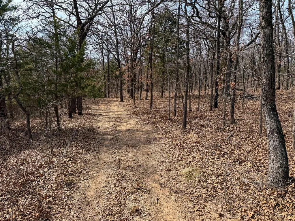 Photo 32 — 22901 N Henney Road, Luther, OK 73054