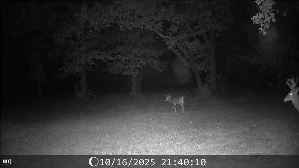 Photo 27 — 20836 SE 149th Street, Newalla, OK 74857
