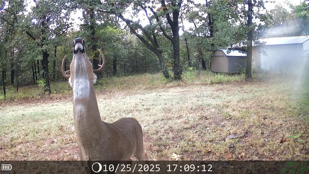 Photo 28 — 20836 SE 149th Street, Newalla, OK 74857