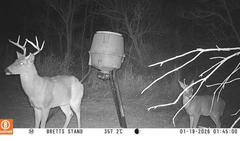 Photo 39 — 27214 E County Road 1430 Road, Mangum, OK 73554