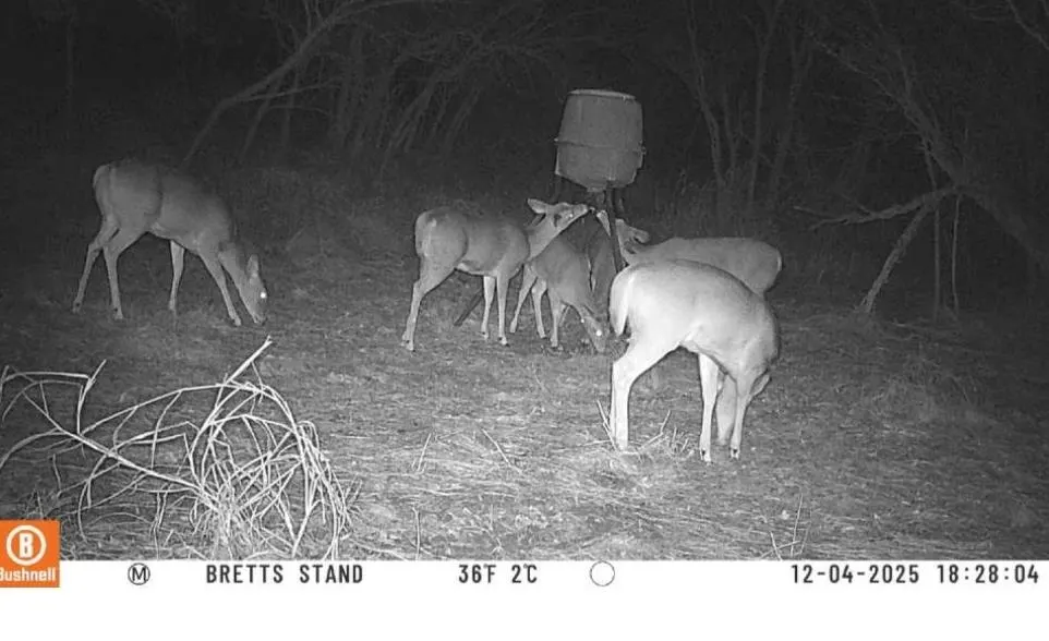 Photo 2 — 27214 E County Road 1430 Road, Mangum, OK 73554