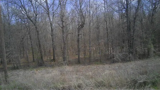 Photo 3 — 0 Shults Road, Idabel, OK 74745