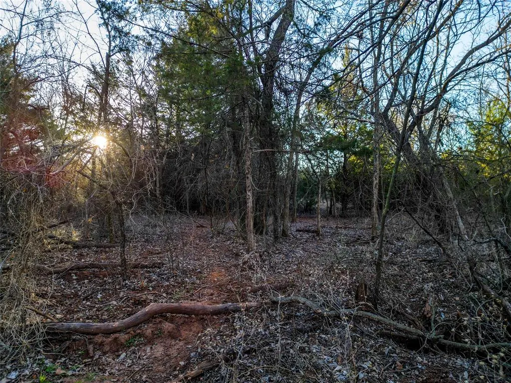 Photo 24 — County Line Road, Lindsay, OK 73052