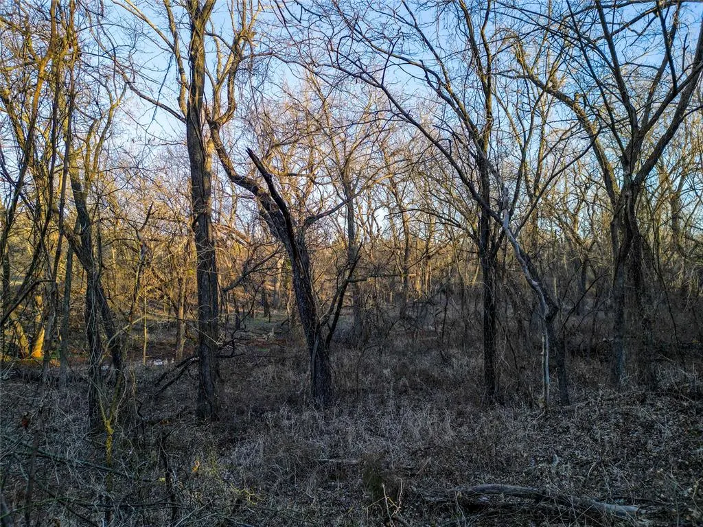 Photo 25 — County Line Road, Lindsay, OK 73052