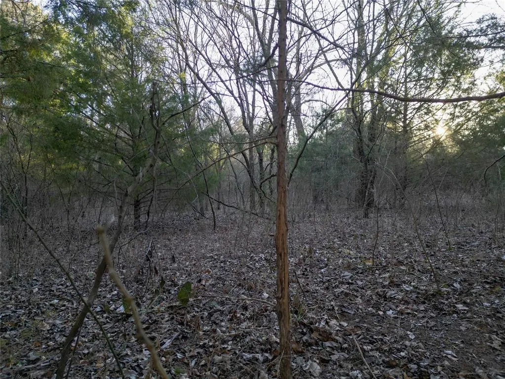 Photo 26 — County Line Road, Lindsay, OK 73052
