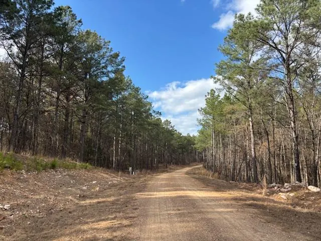 Photo 2 — 2 N Sunset Bluff, Broken Bow, OK 74728