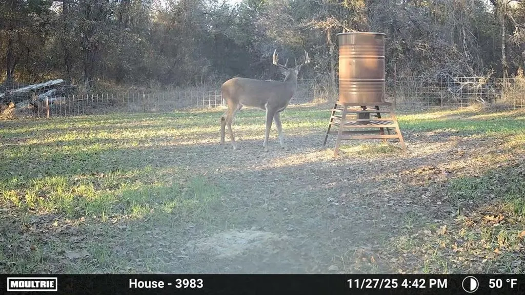 Photo 49 — 1475 Santa Fe Road, Wilson, OK 73463