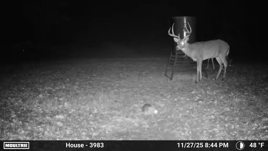 Photo 50 — 1475 Santa Fe Road, Wilson, OK 73463