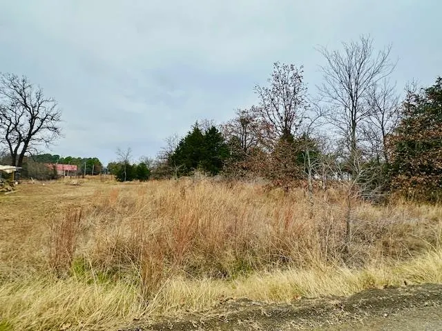 Front exterior — LOT 29, BLK 3 DUCHESS CREEK ACRES #2 512/214 884/, Porum, OK 74455