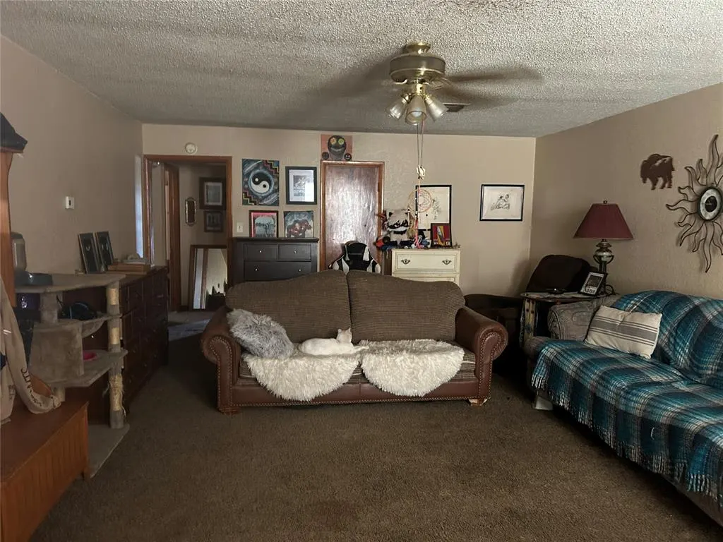 Photo 8 — 510 S Louis Tittle Avenue, Mangum, OK 73554