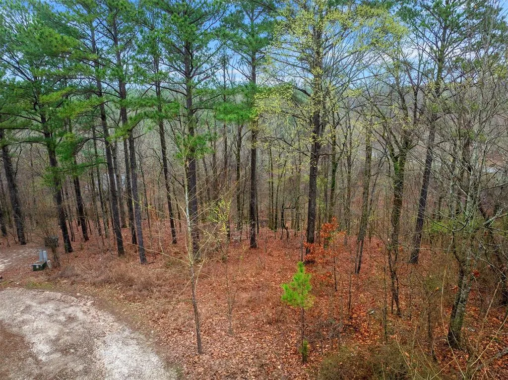 Front exterior — 685 Long Pine Trail, Broken Bow, OK 74728