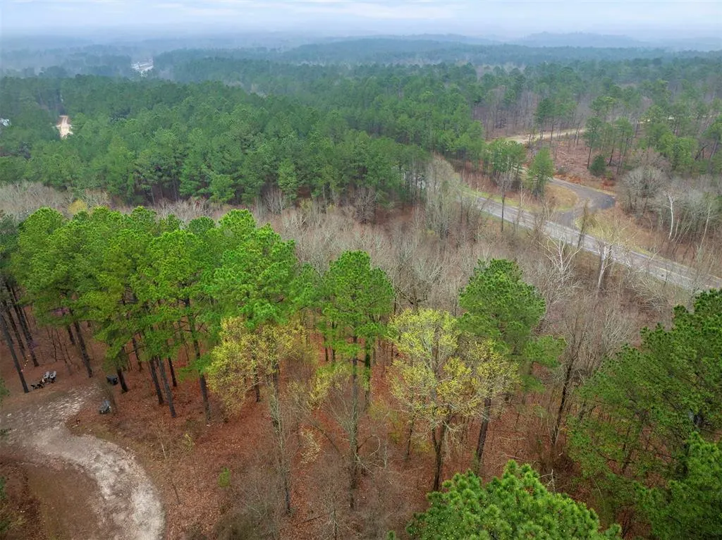 Photo 2 — 685 Long Pine Trail, Broken Bow, OK 74728