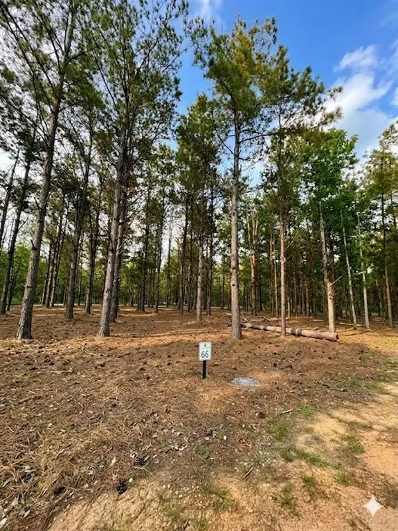 Photo 2 — 245 Green Mallard Trail, Broken Bow, OK 74728