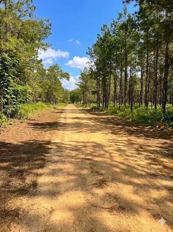 Photo 4 — 245 Green Mallard Trail, Broken Bow, OK 74728