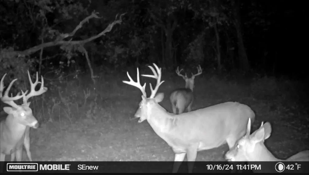 Photo 2 — 0000 Camelback Road, Elmore City, OK 73433