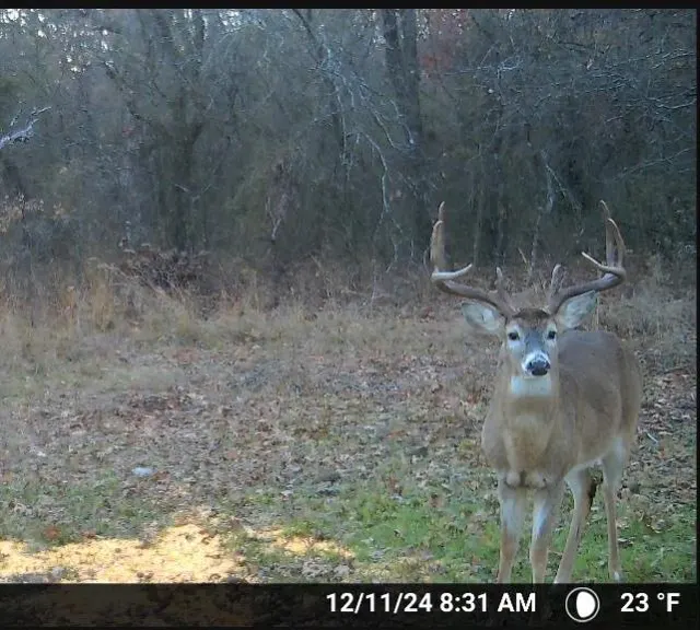 Photo 3 — 0000 Camelback Road, Elmore City, OK 73433