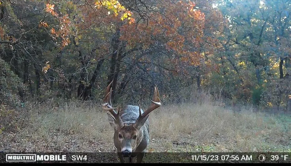 Photo 7 — 0000 Camelback Road, Elmore City, OK 73433