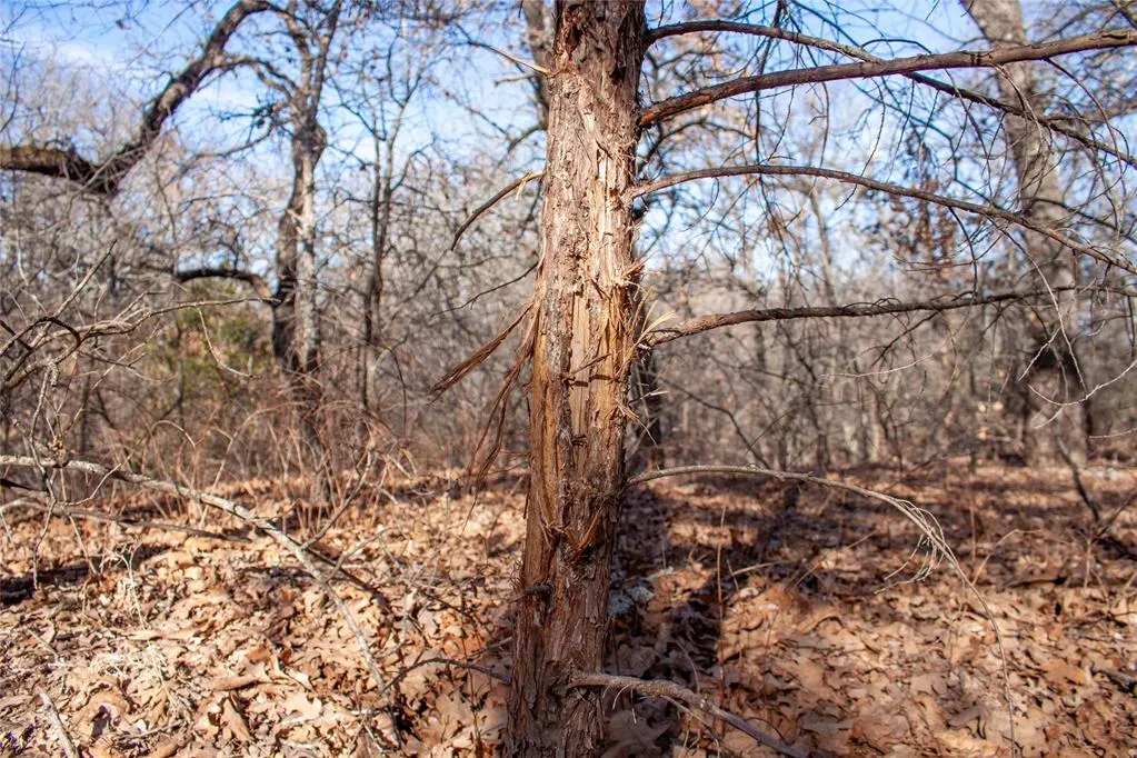 Photo 37 — 0000 Camelback Road, Elmore City, OK 73433