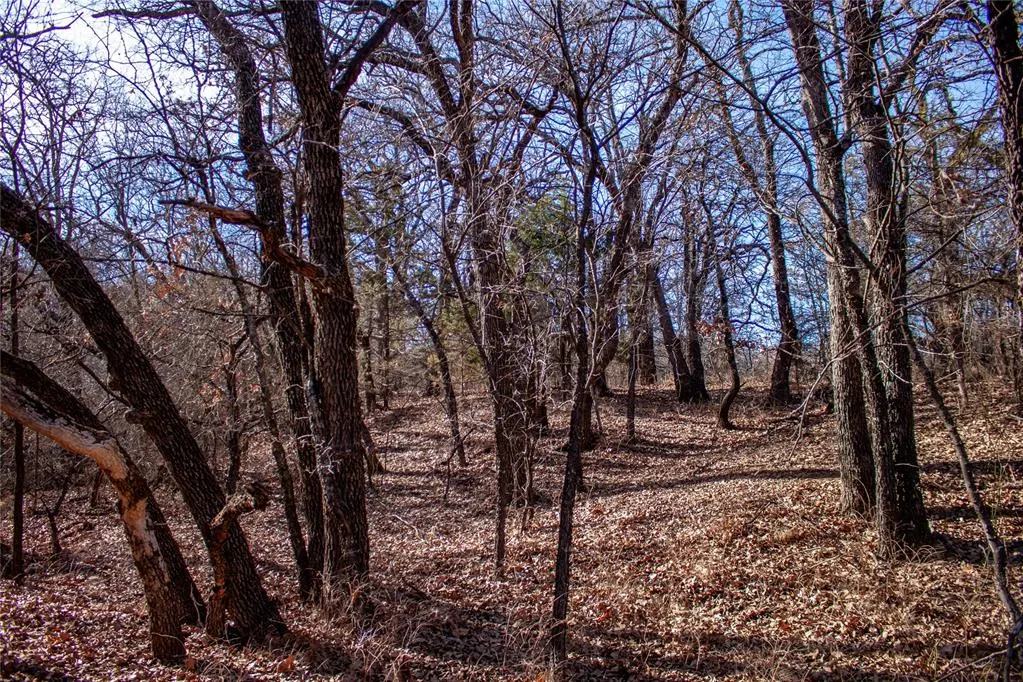 Photo 38 — 0000 Camelback Road, Elmore City, OK 73433