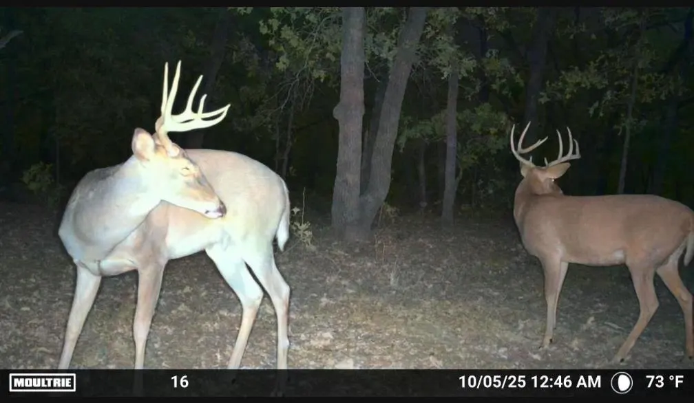 Photo 4 — HWY 76, Elmore City, OK 73433