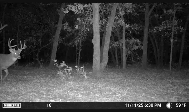 Photo 5 — HWY 76, Elmore City, OK 73433