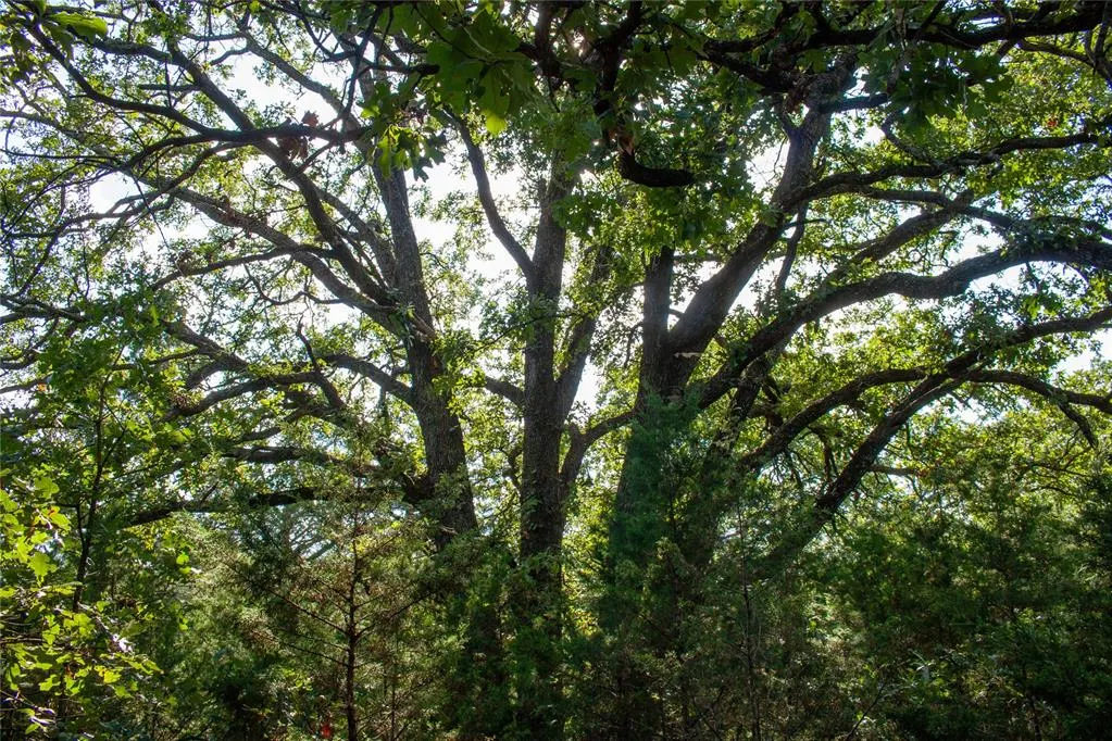 Photo 45 — 0000 Dobbs Road, Wellston, OK 74881