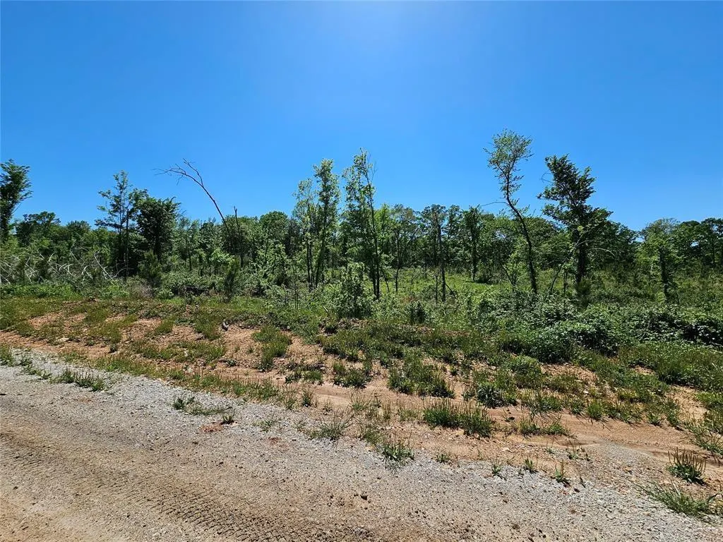 Photo 8 — 71 Woodland Ridge Trail, Broken Bow, OK 74728