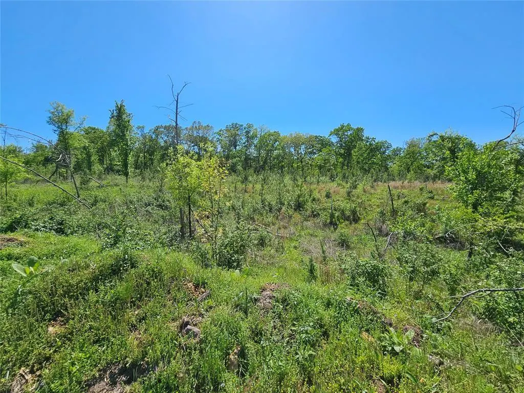 Photo 10 — 71 Woodland Ridge Trail, Broken Bow, OK 74728
