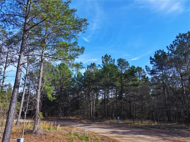 Photo 2 — 102 Hills Creek Trail, Broken Bow, OK 74728