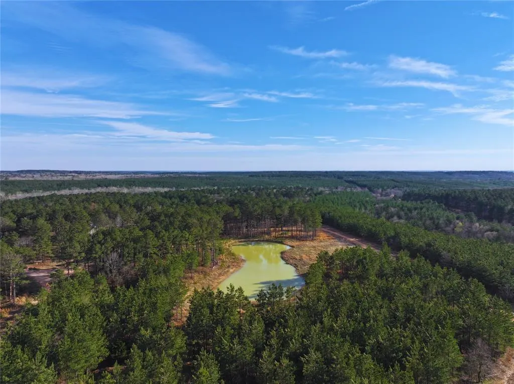 Photo 3 — 102 Hills Creek Trail, Broken Bow, OK 74728