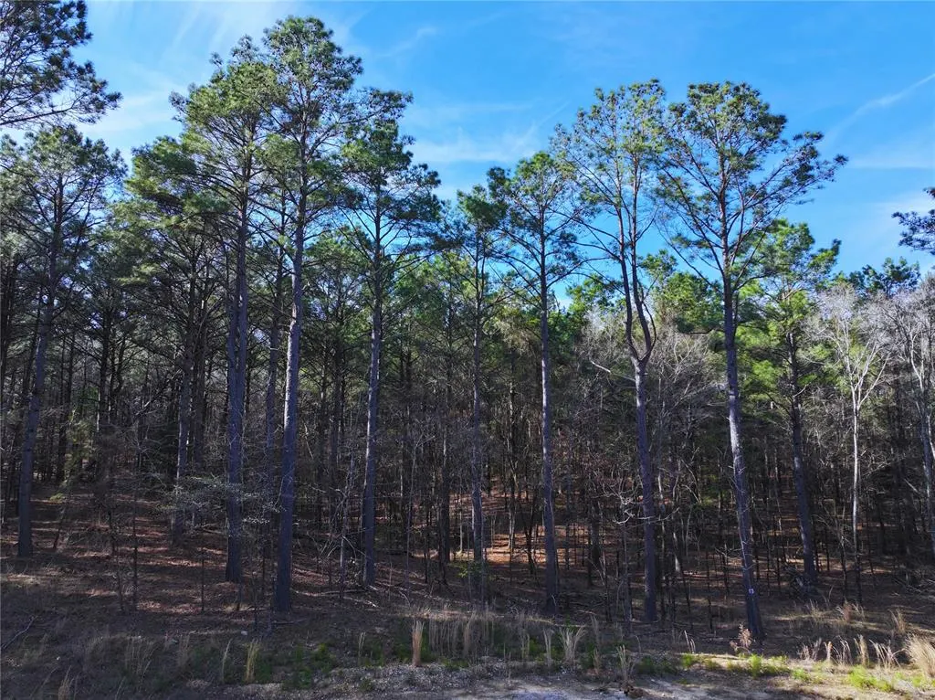 Photo 3 — 108 Hills Creek Trail, Broken Bow, OK 74728