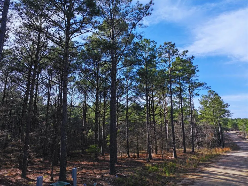 Photo 2 — 152 Turkey Roost Trail, Broken Bow, OK 74728