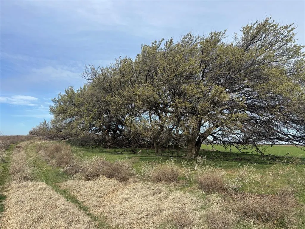 Photo 3 — Country Road 450, Aline, OK 73716